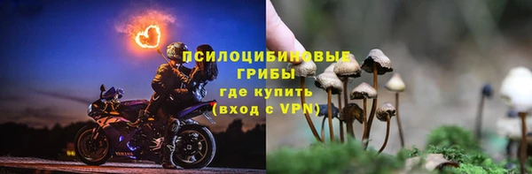 эйфоретик Алзамай