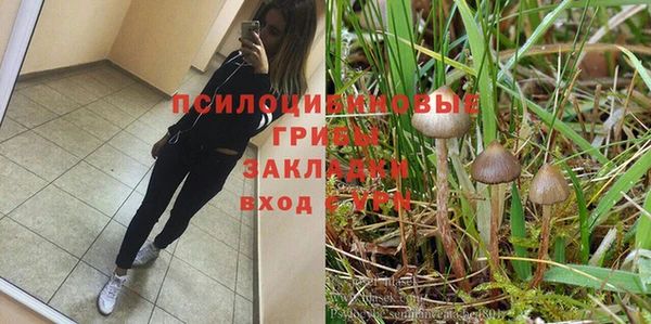 эйфоретик Алзамай
