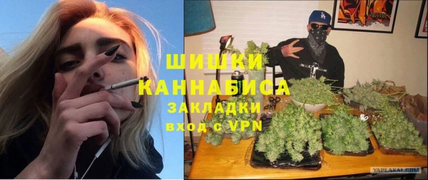СК Алексин