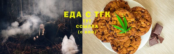 СК Алексин