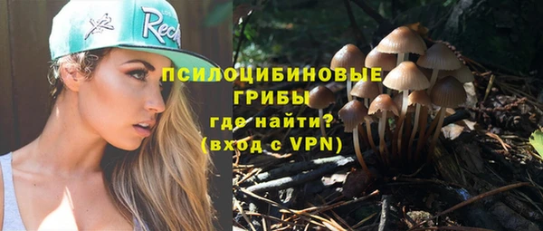 МДМА Алексеевка