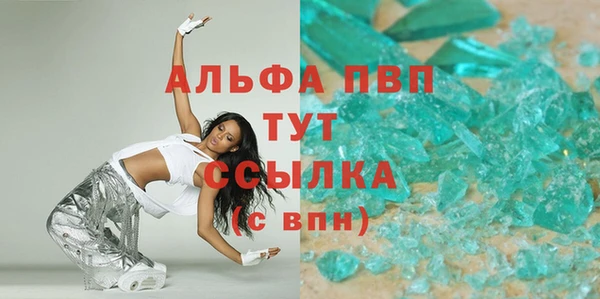 СК Алексин